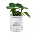 Hydroponic Flowerpot - buyooze